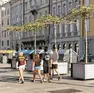 I platani in piazza della Borsa (Silvano)