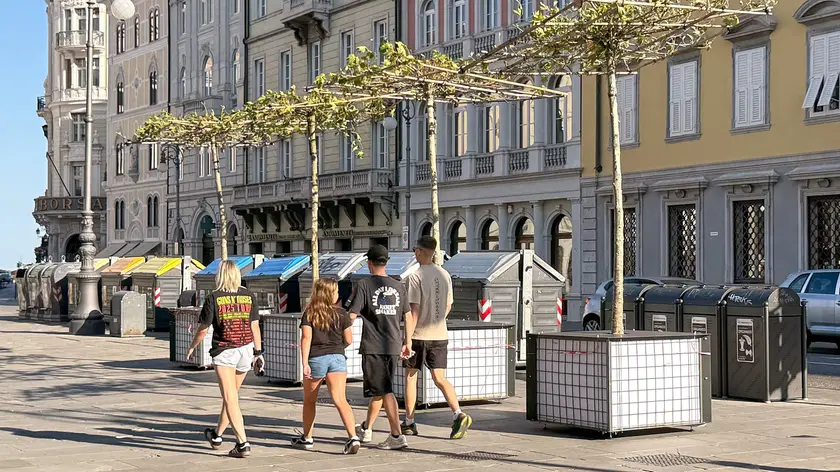 I platani in piazza della Borsa (Silvano)
