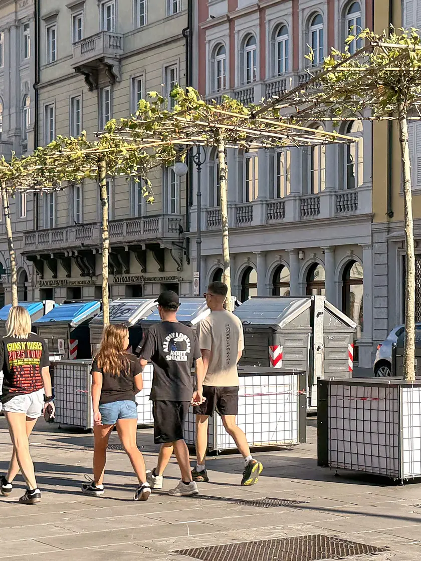 I platani in piazza della Borsa (Silvano)