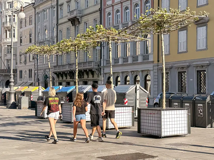 I platani in piazza della Borsa (Silvano)