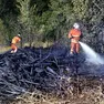 I vigili del fuoco in Campanelle (Bruni)