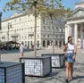 I platani mobili in piazza della Borsa (foto Massimo Silvano)