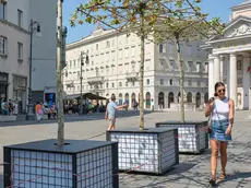 I platani mobili in piazza della Borsa (foto Massimo Silvano)