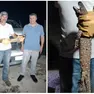 La lucertola messicana trovata a Barbona, nella Bassa padovana