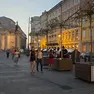 Gli alberi in piazza della Borsa