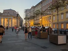 Gli alberi in piazza della Borsa
