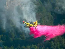 Il canadair in azione in Carnia