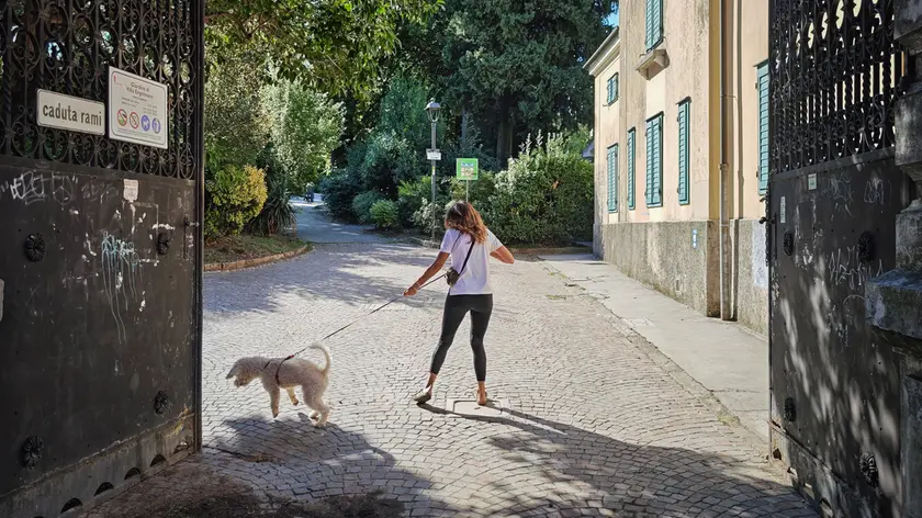 Manuela a passeggio con il suo lagotto a Villa Engelmann (foto Andrea Lasorte)