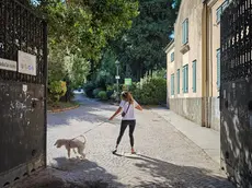 Manuela a passeggio con il suo lagotto a Villa Engelmann (foto Andrea Lasorte)