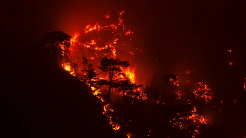 Gli incendi in Carnia in una foto di Chiara Bettiga