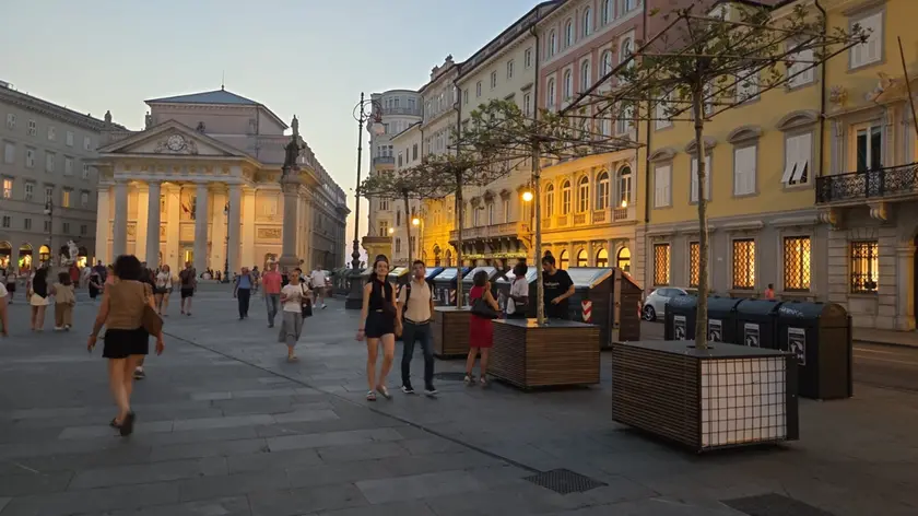 Gli alberi in vaso posizionati in piazza della Borsa