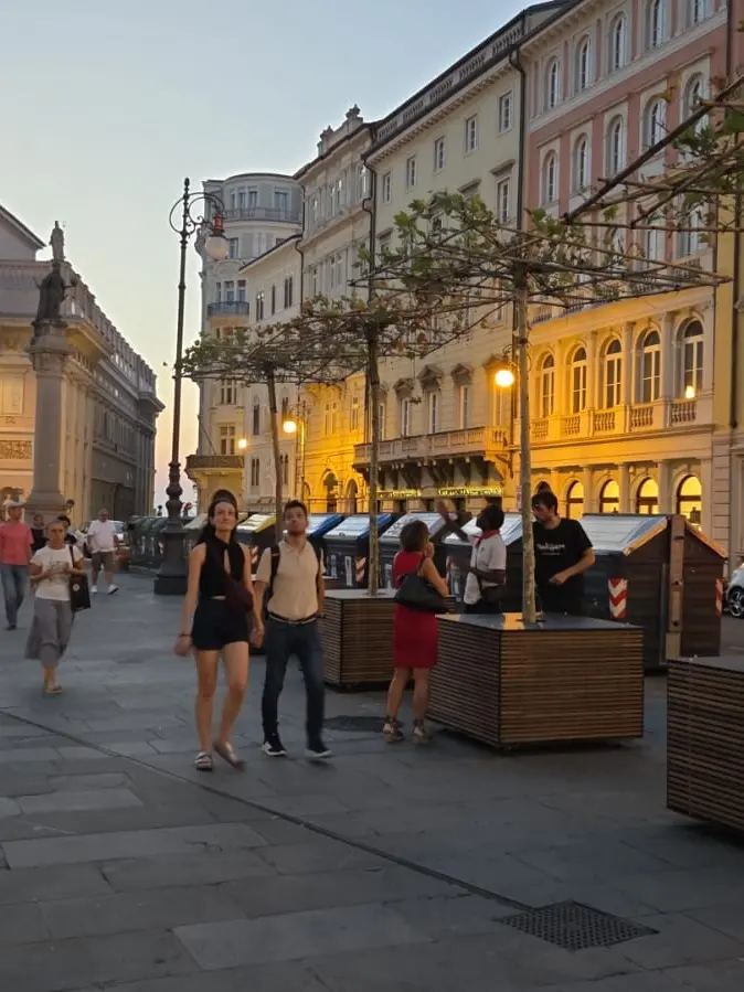 Gli alberi in vaso posizionati in piazza della Borsa