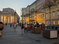 Gli alberi in vaso posizionati in piazza della Borsa