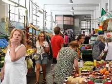 (fotoservizio Francesco Bruni)