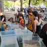 La fiera ornitologica (Foto Tibaldi)
