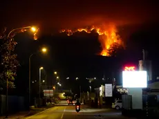 La foto della distruzione sull'Amariana vista da Tolmezzo (foto Andrea Siega)