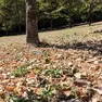 Il parco di Piuma a Gorizia (foto Tibaldi)