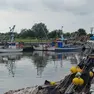 Le barche dei pescatori di Marano in porto a causa della drammatica carenza di fasolari
