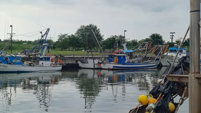 Le barche dei pescatori di Marano in porto a causa della drammatica carenza di fasolari