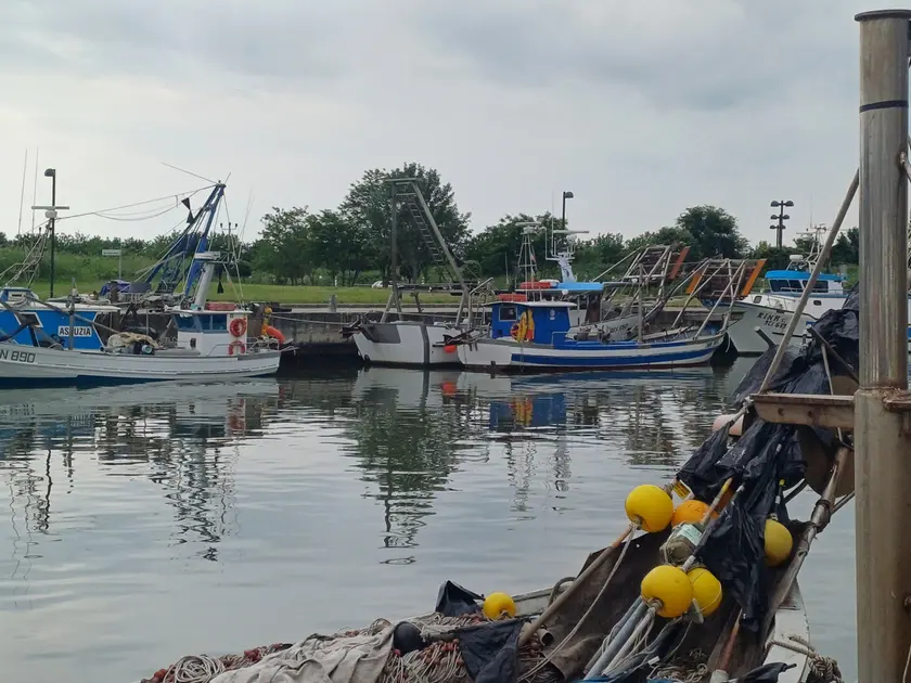 Le barche dei pescatori di Marano in porto a causa della drammatica carenza di fasolari