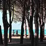 La Pineta di Barcola