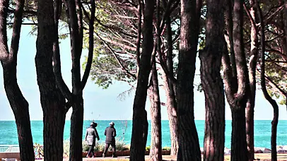La Pineta di Barcola