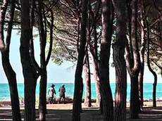 La Pineta di Barcola