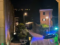 (foto di Dario Zappala)