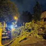 Un albero caduto in via Pitteri a Gorizia (foto tratta dai social)