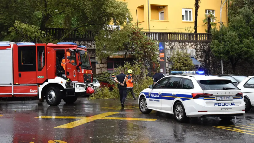 (foto Novi list)