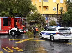 (foto Novi list)