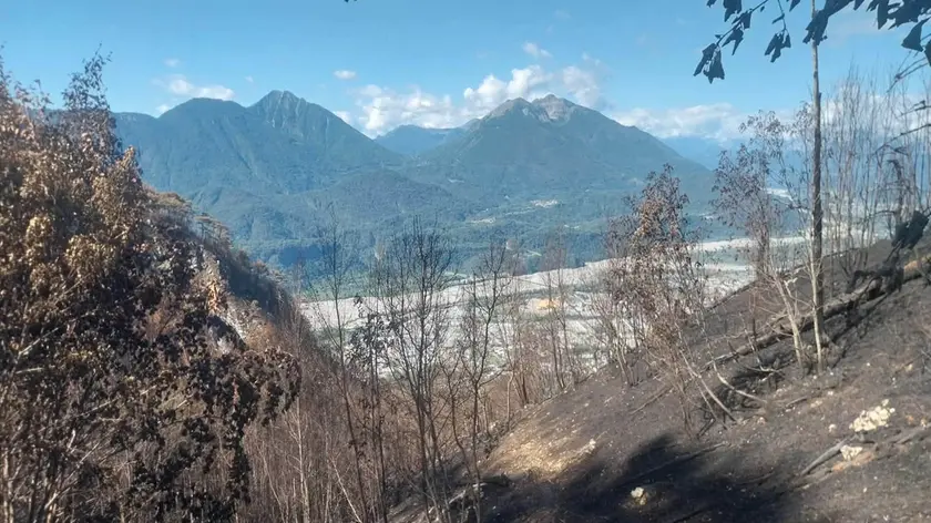 I danni provocati dai roghi delle scorse settimane su Amariana e Amarianutte nelle foto concesse dal Cai di Tolmezzo