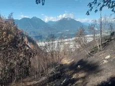 I danni provocati dai roghi delle scorse settimane su Amariana e Amarianutte nelle foto concesse dal Cai di Tolmezzo