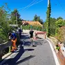 I lavori iniziati in via Bonomea (foto Andrea Lasorte)