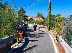 I lavori iniziati in via Bonomea (foto Andrea Lasorte)