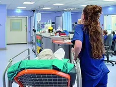Infermieri nell’ospedale di Cattinara a Trieste (foto Silvano)