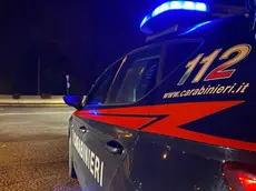 Sul posto sono intervenute le forze dell'ordine