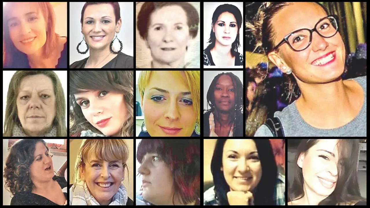 Quattordici donne vittime di femminicidio. Si chiamavano: Lisa Puzzoli; Denise Fernella Graham; Irma Hadaj; Touria Errebaïbi; Slavica Kostic; Michela Baldo; Nadia Orlando; Migena Kellezi; Donatella Briosi; Marinella Maure; Aurelia Laurenti; Elisabetta Molaro; Samia Bent Rejab Kedim; Luigia Rossi