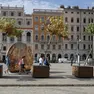 Gli "alberi in scatola" piegati dal vento a Trieste