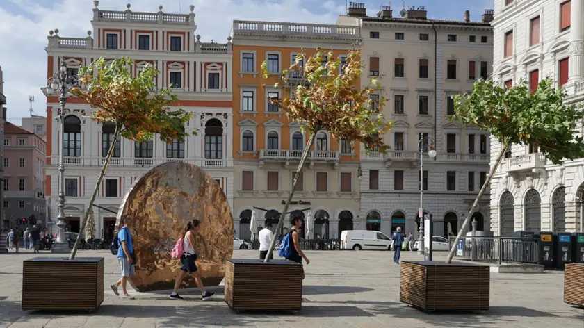 https://images.ilpiccolo.it/view/acePublic/alias/contentid/1ti1ujwmbo9dgbva45t/0/gli-alberi-in-scatola-piegati-dal-vento-a-trieste.webp?f=16%3A9&amp;w=840