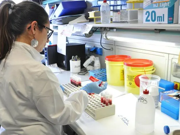 Laboratorio per la valutazione della compatibilità del midollo