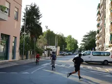 La disinfestazione riguarderà via Don Fanin e l'area circostante. Foto di Katia Bonaventura