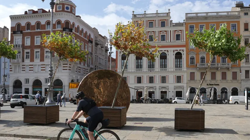Gli alberi piegati dal vento in piazza Ponterosso