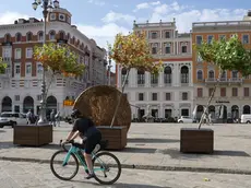 Gli alberi piegati dal vento in piazza Ponterosso