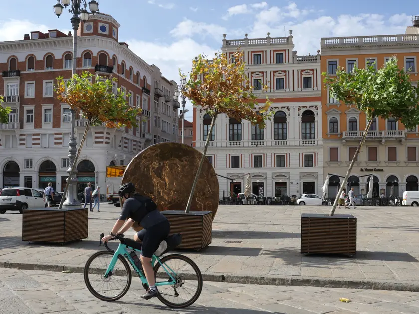 Gli alberi piegati dal vento in piazza Ponterosso