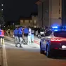 L'aggressione è avvenuta in via Castions, a Udine (Foto petrussi)