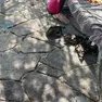 I Germani reali al bagno Sirena di Grignano cercano l'ombra sotto i lettini dei bagnanti