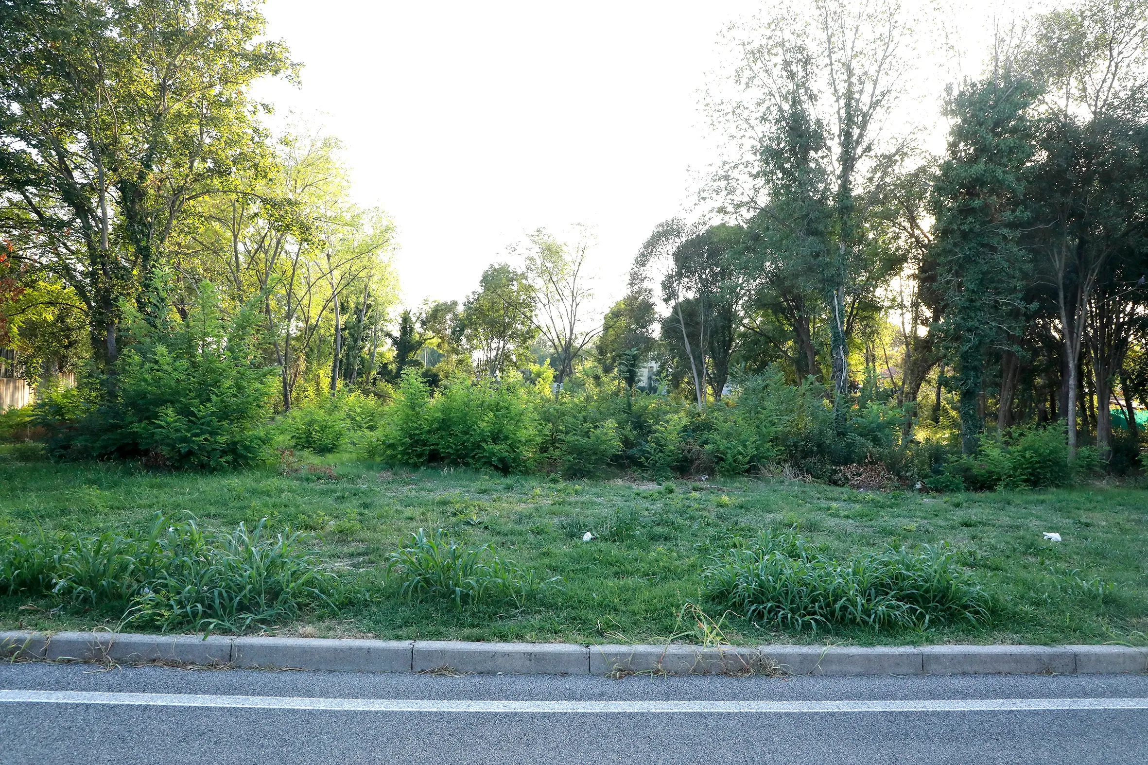 L’area di vicolo Primo maggio già in parte urbanizzata. Foto di Katia Bonaventura
