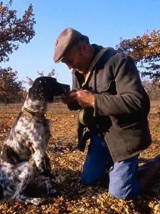 Un raccoglitore di tartufi assieme al suo cane