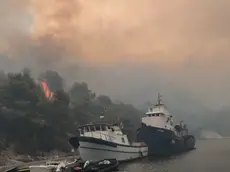 (foto Dalmacija danas)